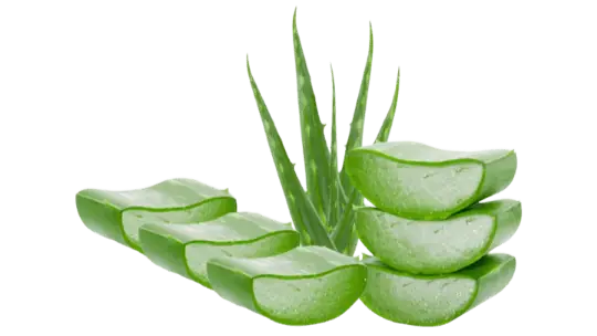 Gel y penca de aloe vera