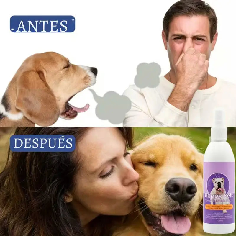 Antes y después: del mal aliento a los besos con tu mascota
